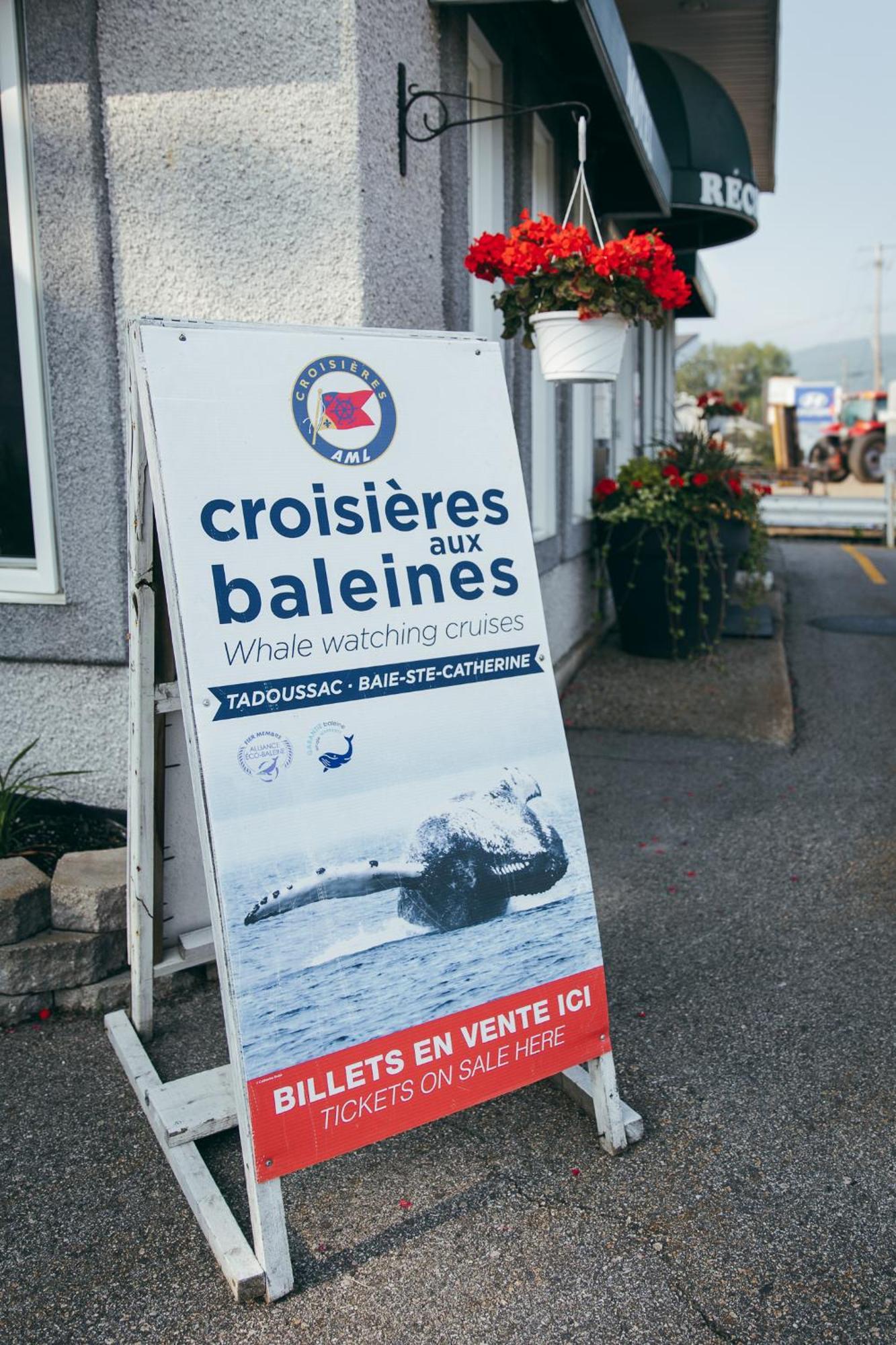 Motel Des Cascades Baie-Saint-Paul Exterior foto